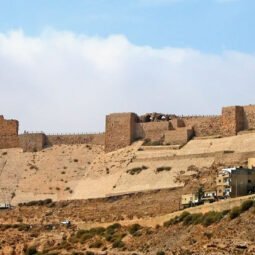 유크디지털뉴스